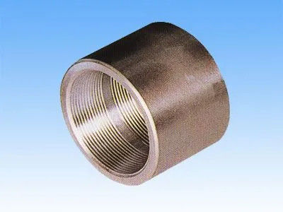 ASTM A182 304 فولاد ضد زنگ جعل شده زنانه رشته ی اتصال