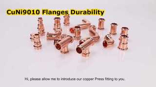 CuNi9010 فلنج فورج فولاد RF جوش