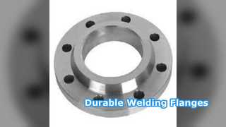 فلنج گردن جوش SS304 SS316 PN6